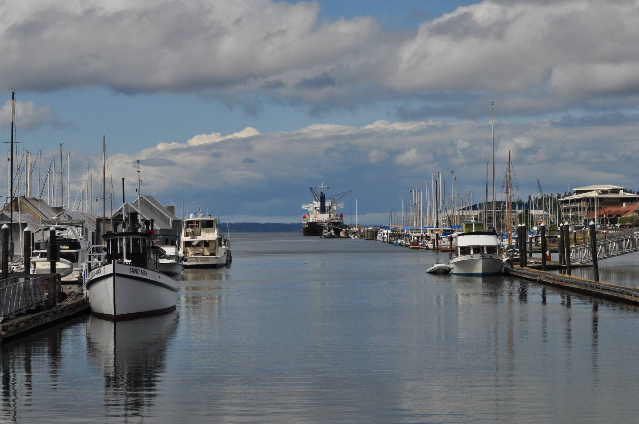 A photograph taken by photographer Adam Scott in Olympia WA. This is one of the very first photos Adam Scott ever took that he liked. It was during a walk about down by Capital Lake in Olympia WA.