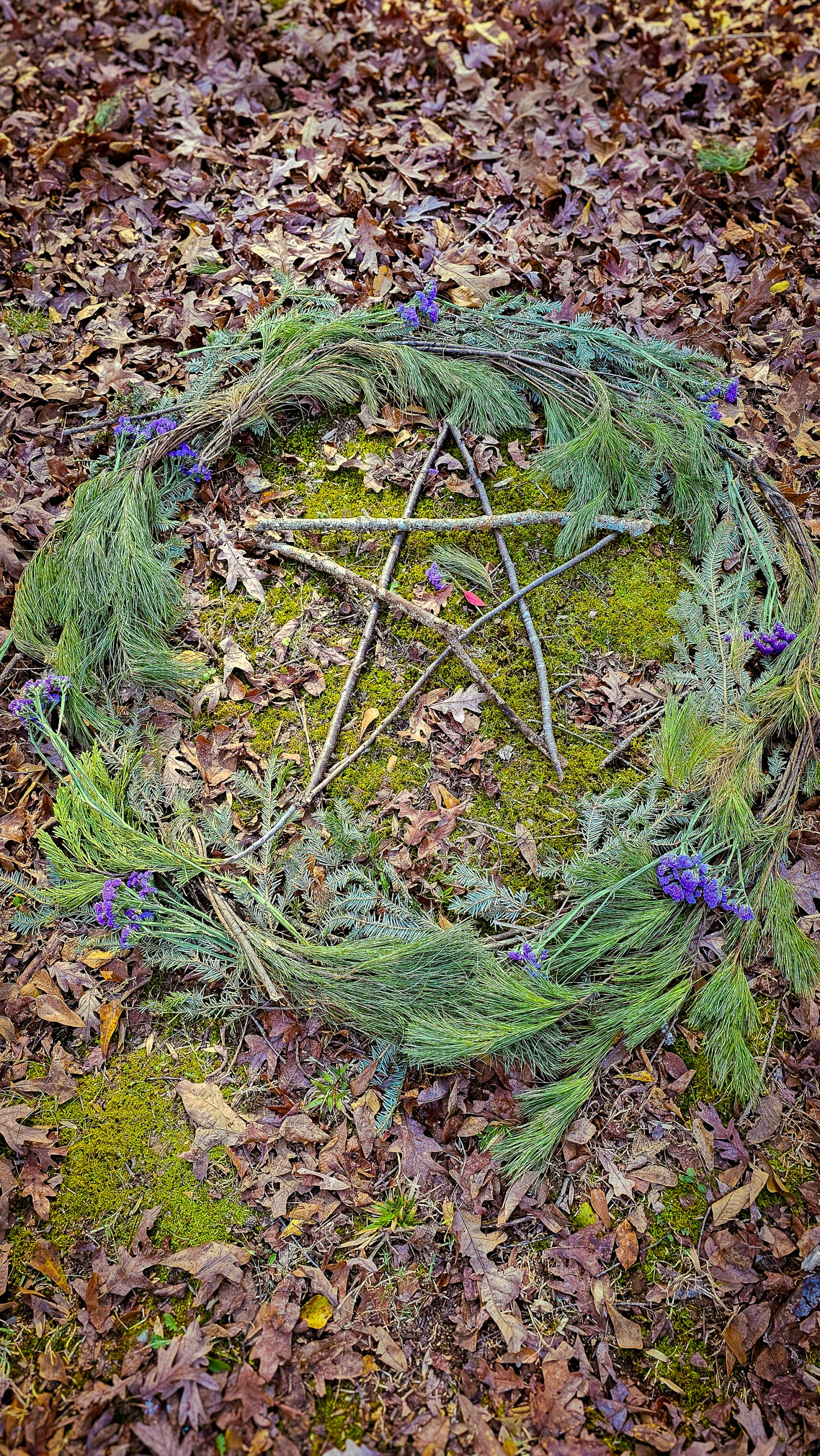 An offering Adam Scott made in his back yard for The Winter Solstice. It's a pentagram cicled by evergreen and holly branches with lavender. The pantagram is made with branches and sticks from Adam's backyard.